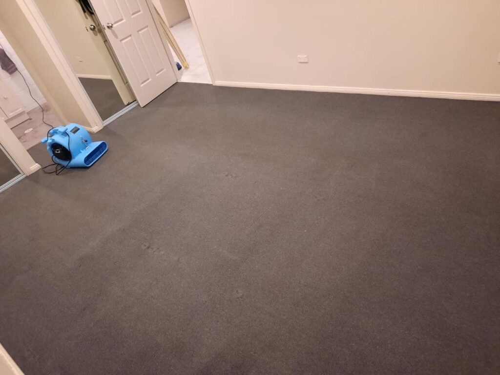 Best carpet cleaners near Fairy Meadow NSW