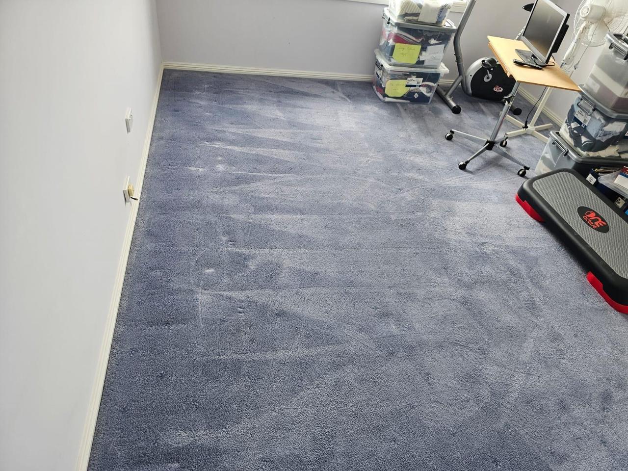 carpet cleaning services